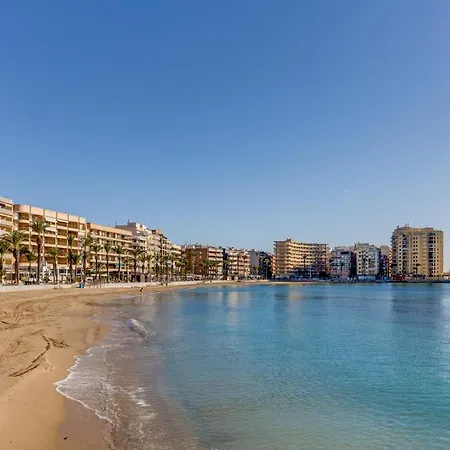 Ramon * Торевьиа